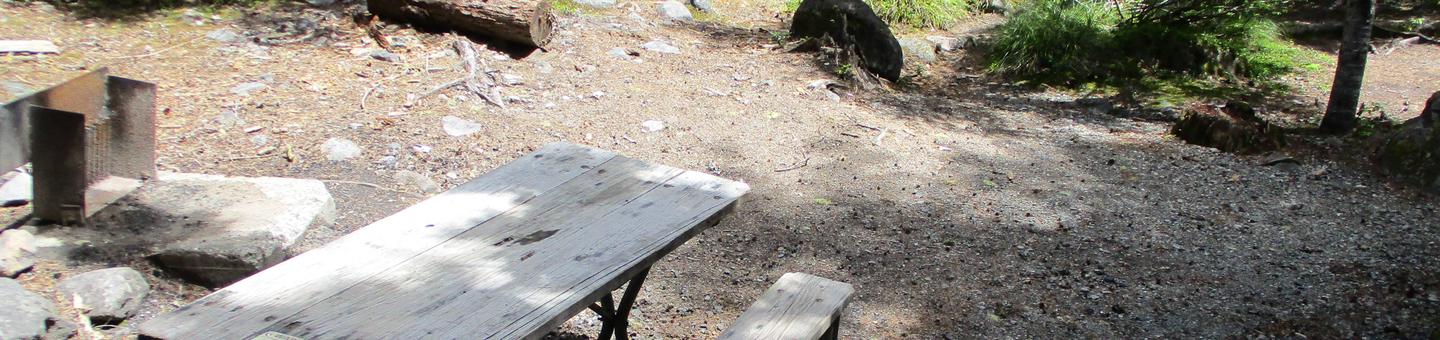 Site amenities.Picnic table, fire ring.