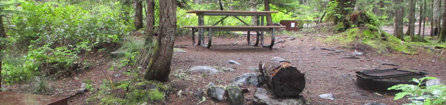 Picnic Table and Fire RingPicnic Table and Fire ring