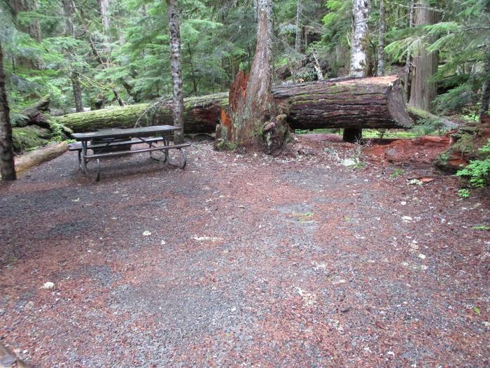 Picnic Table and Tent Area