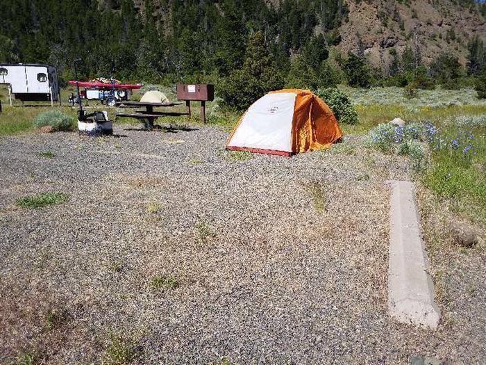 Rex Hale Campsite 14 - Tent Area