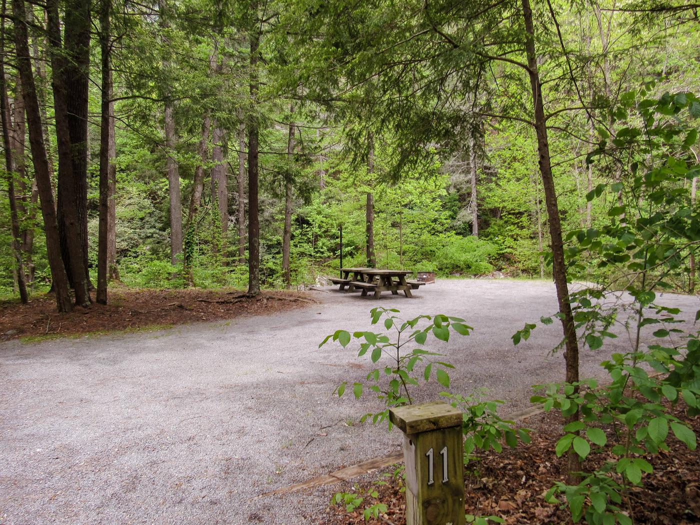 Site 11, Paint Creek Campground Recreation.gov