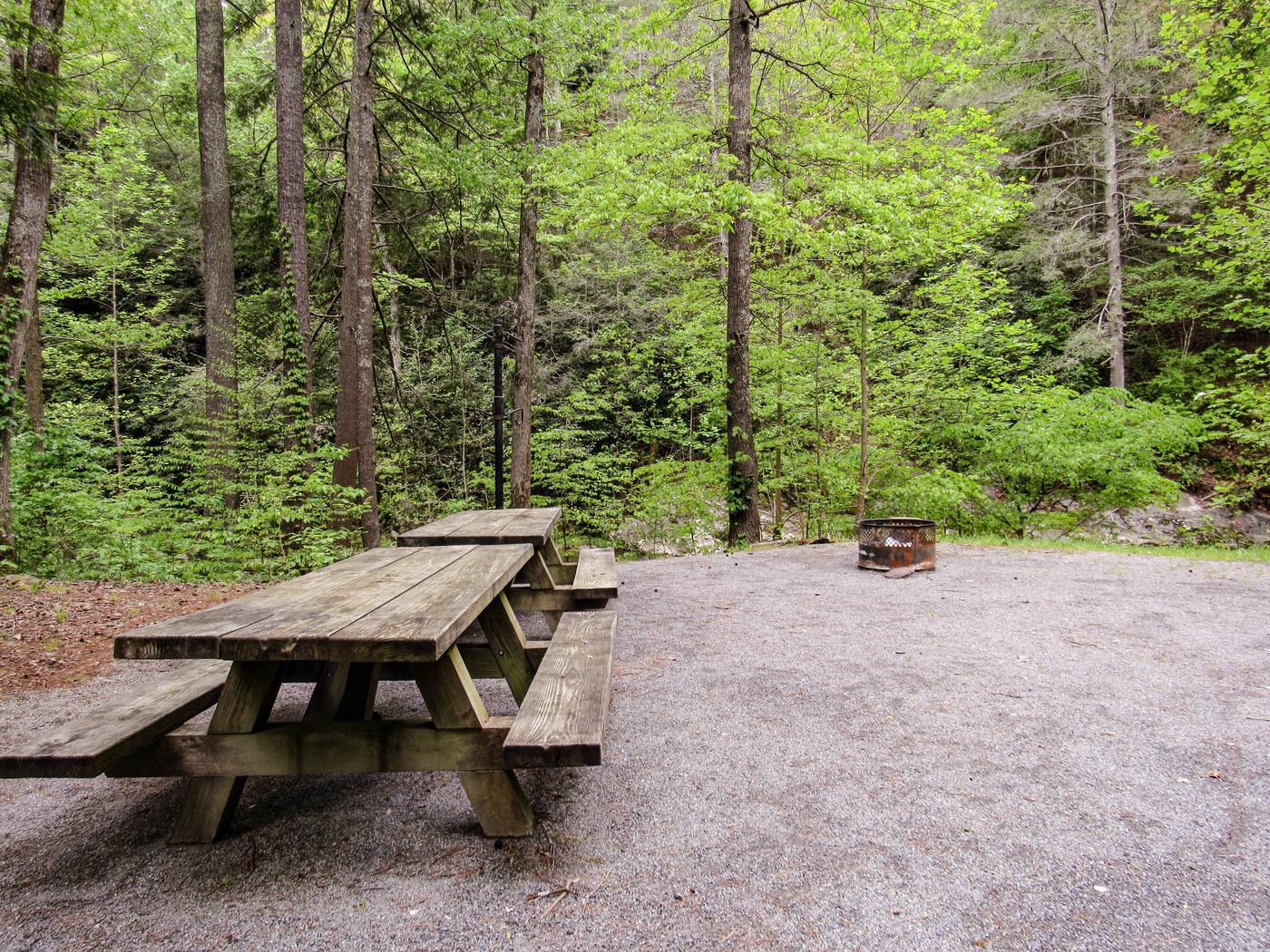 Site 11 Paint Creek Campground Recreation Gov   10056256 Dfd73ce5 9bd6 4822 96df B487a47ecbbb 1400 