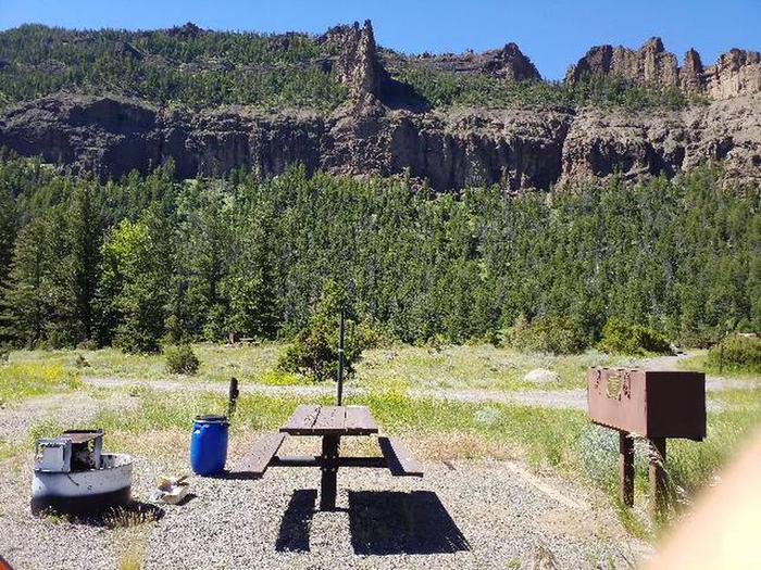 Rex Hale Campsite 19 - Back View, Picnic table, fire ring, bear box, gravel area, grassy areaRex Hale Campsite 19 - Back View
