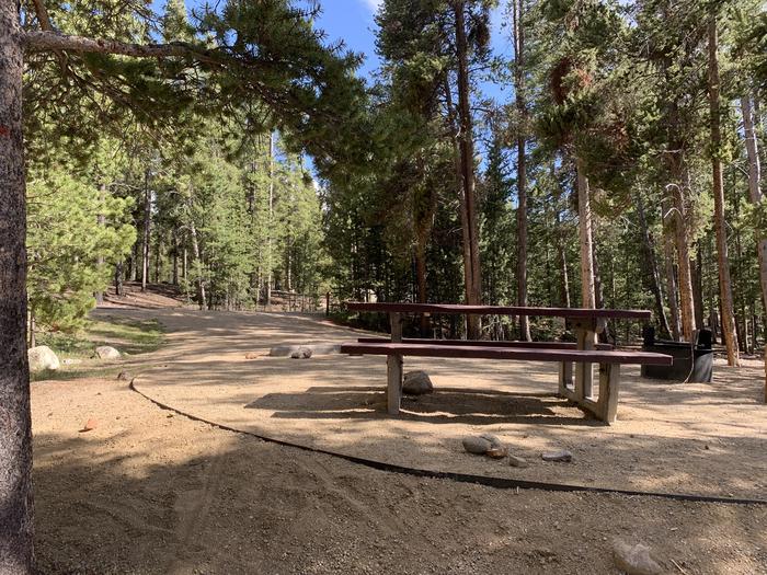 Molly Brown Campground, site 6 picnic table and fire ring 2