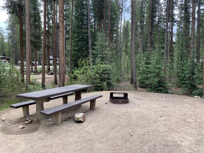 Molly Brown Campground, site 48 picnic table and fire ring 3