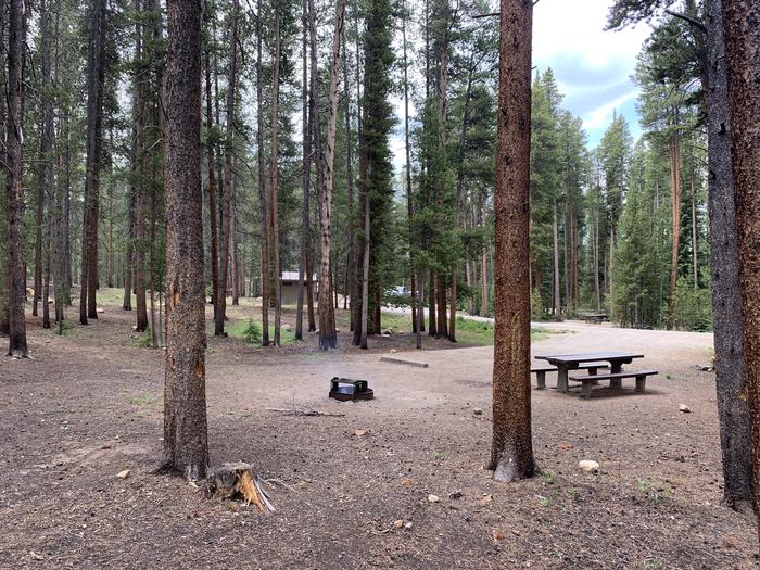 Molly Brown Campground, site 47 trees 2