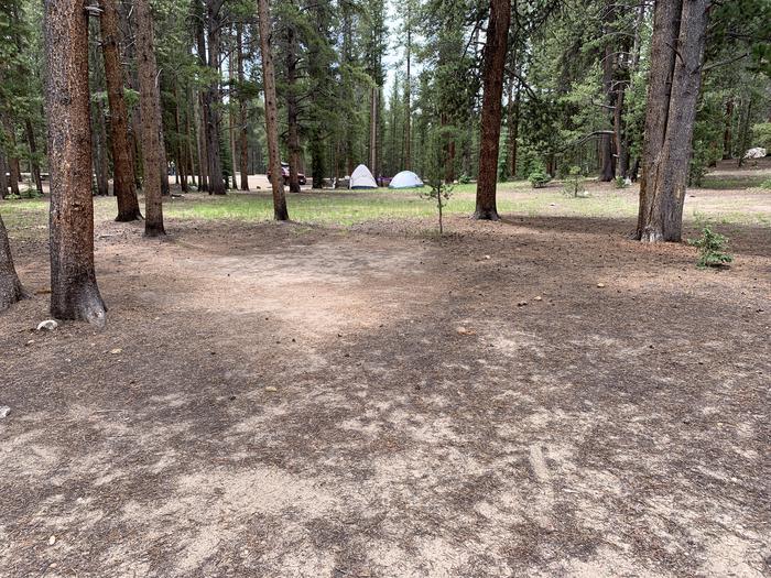 Molly Brown Campground, site 28 clearing