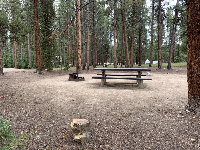 Molly Brown Campground, site 28 picnic table and fire ring 2