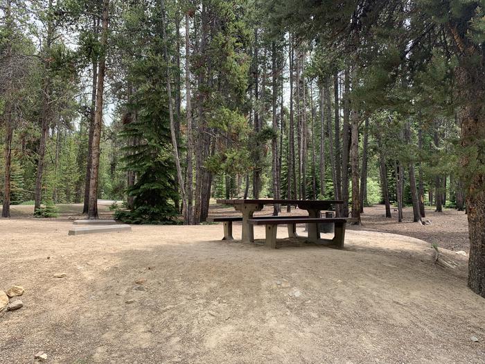 Molly Brown Campground, site 14 picnic table