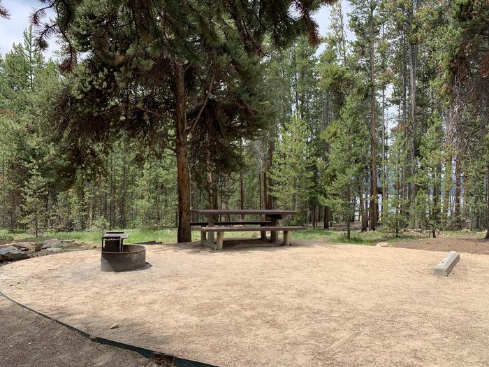 Molly Brown Campground, site 14 picnic table and fire ring 2