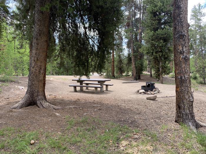 Molly Brown Campground, site 36 picnic table and fire ring 4