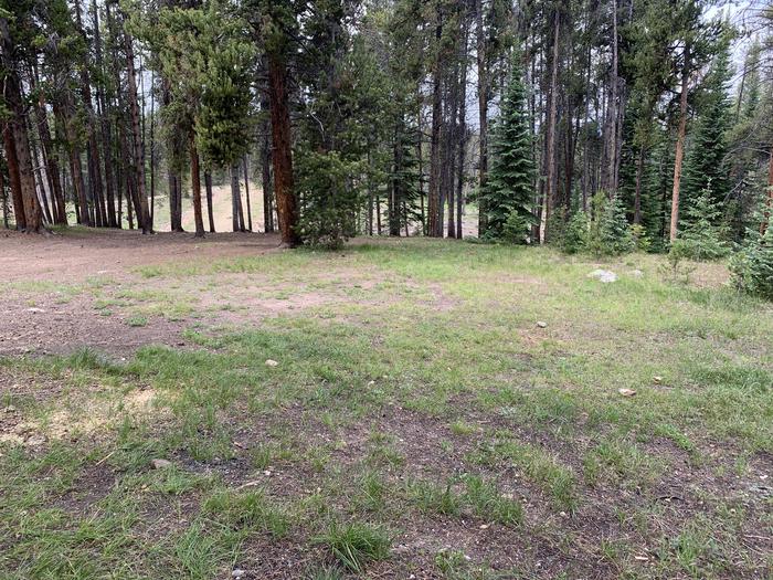 Expansive tent area at Molly Brown Campground, site 36
