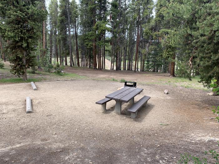Molly Brown Campground, site 36 picnic table and fire ring 5