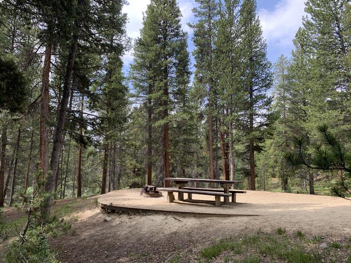 Molly Brown Campground, site 41 picnic table and fire ring 2
