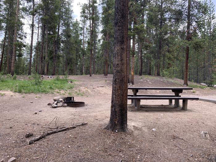 Molly Brown Campground, site 17 picnic table and fire ring 2