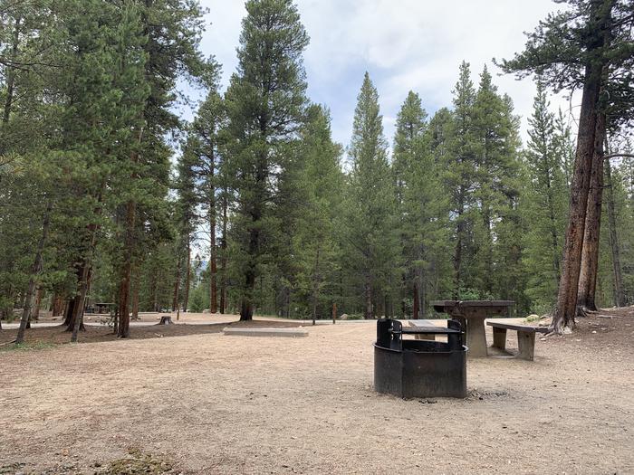 Molly Brown Campground, site 22  picnic table and fire ring 6
