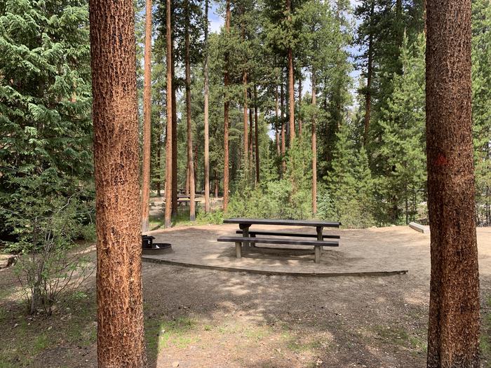 Molly Brown Campground, site 46 picnic table and fire ring 2