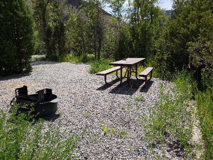 Wapiti Campsite 2 - Back View with Picnic Table
