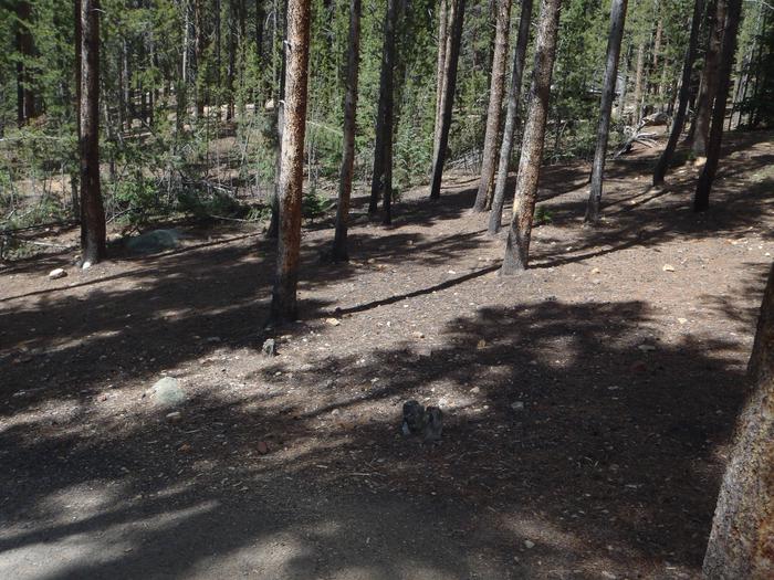 Baby Doe Campground, Site 3  clearing 2