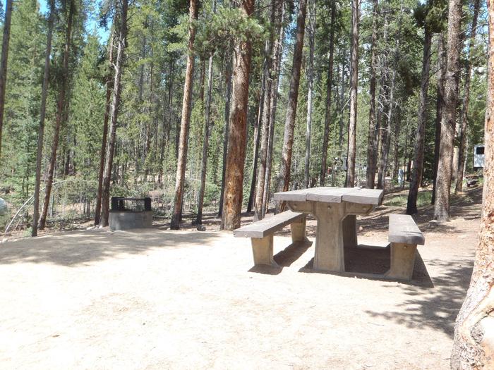 Baby Doe Campground, site 3