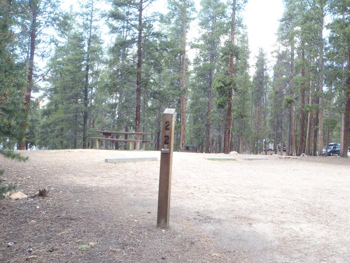 Baby Doe Campground, Site 22 marker