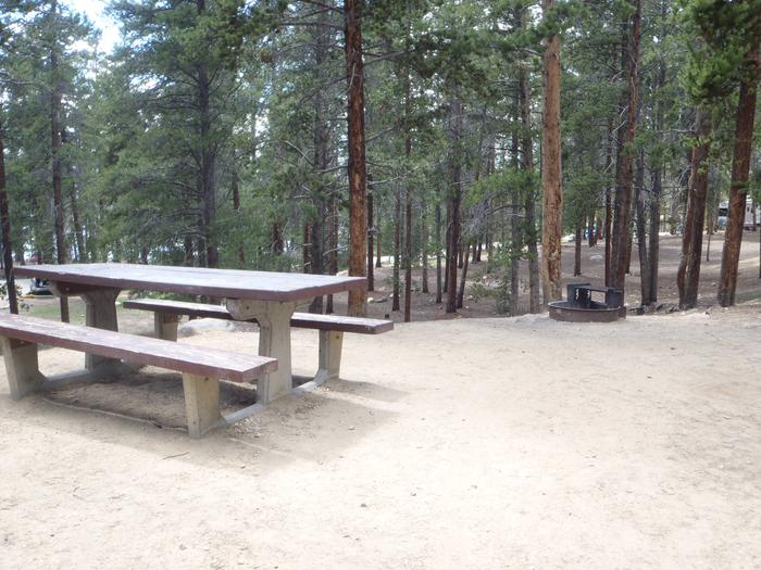 Baby Doe Campground, Site 22 picnic table and fire ring