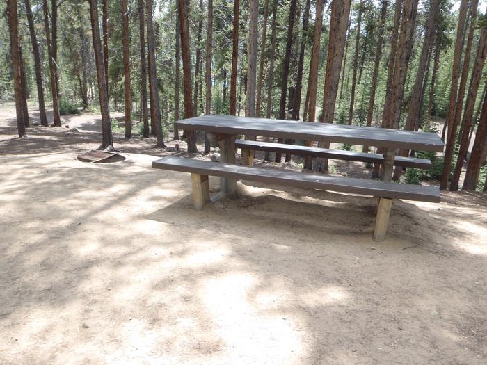 Baby Doe Campground, Site 31 picnic table and fire ring