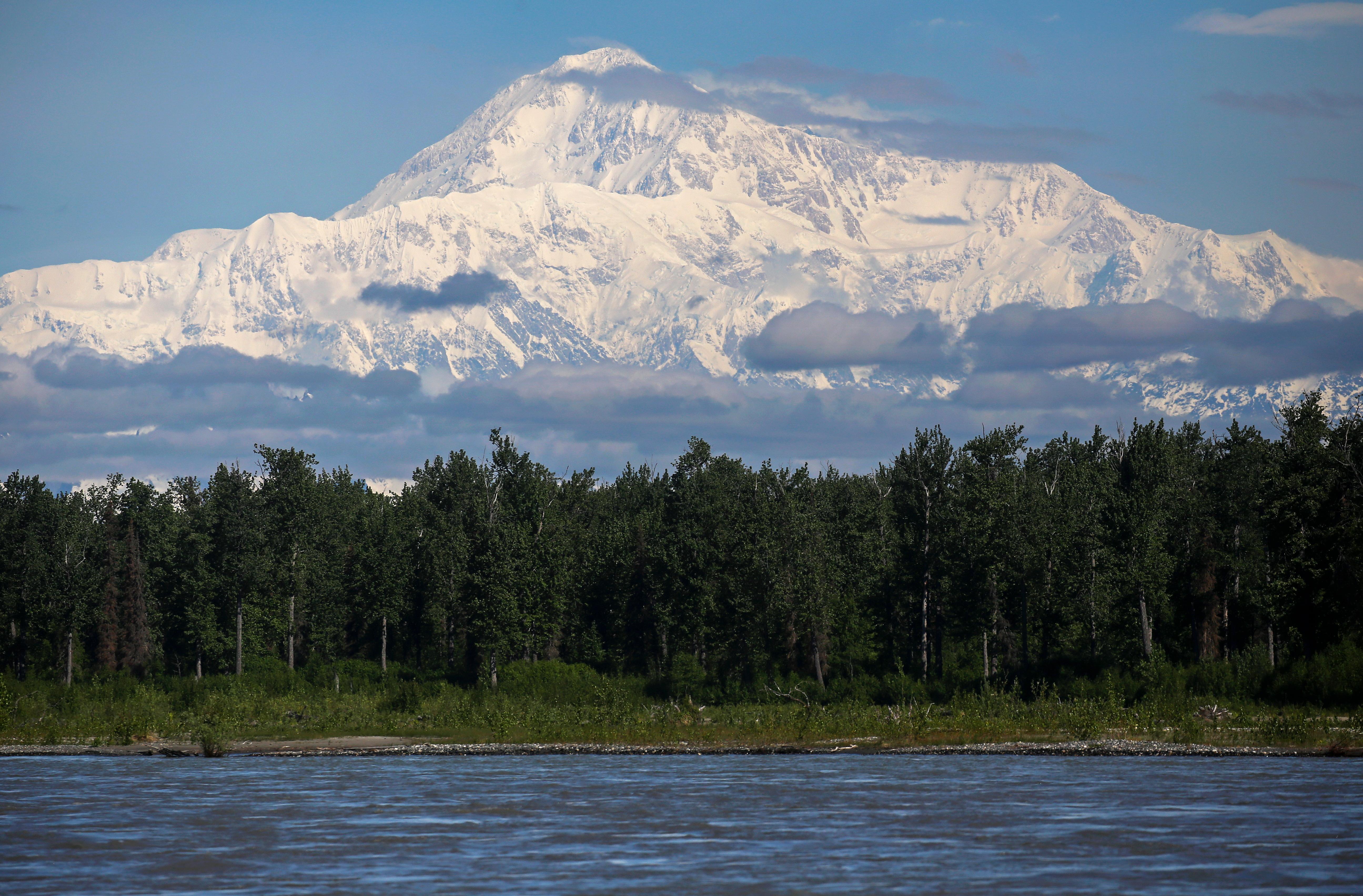 Denali View