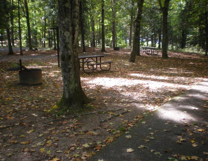 Left view of Lake Ottawa Campground campsite 30.