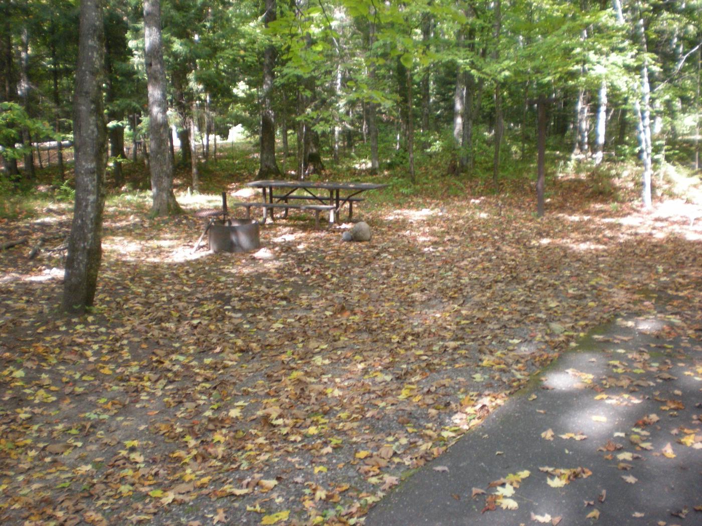 Site 25, Lake Ottawa Campground - Recreation.gov