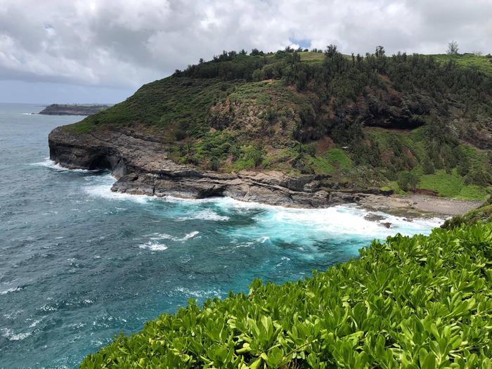 kilauea-point-national-wildlife-refuge-ticketed-entry-kilauea-point