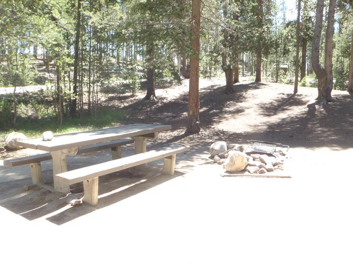Molly Brown Campground, site 2 picnic table and fire ring