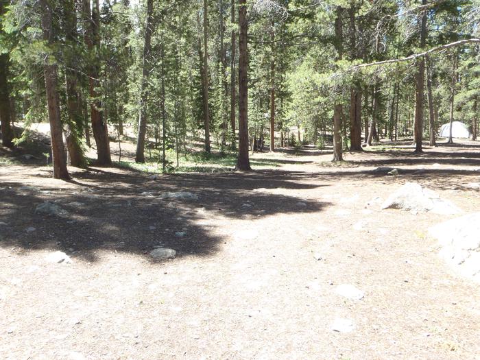 Molly Brown Campground, site 2 clearing