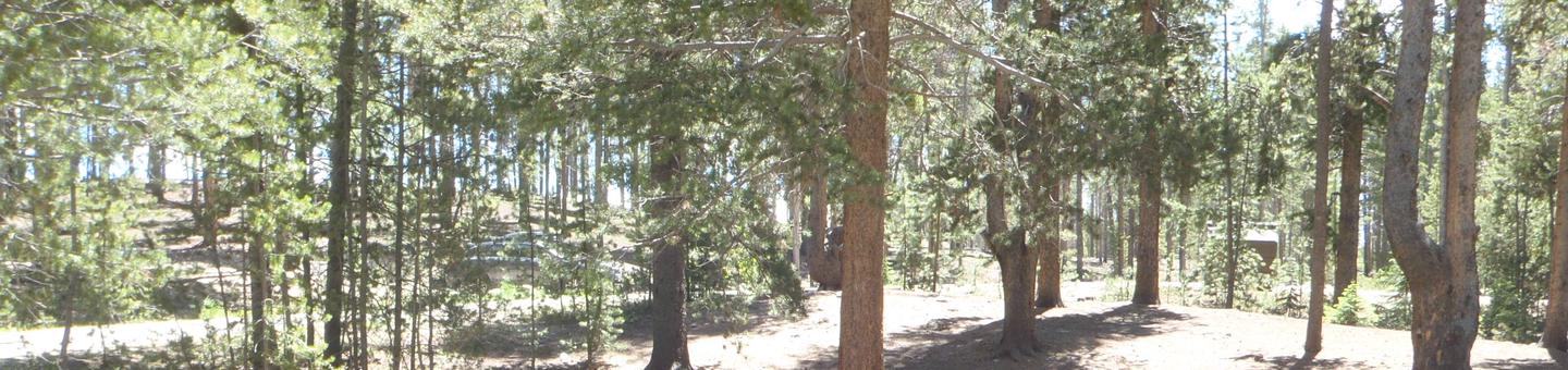 Molly Brown Campground, site 2