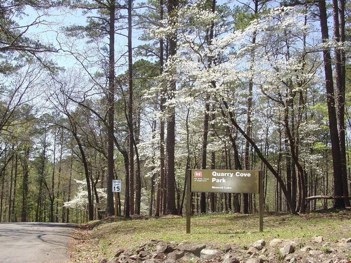 EntranceEntrance sign with dogwoods in bloom.