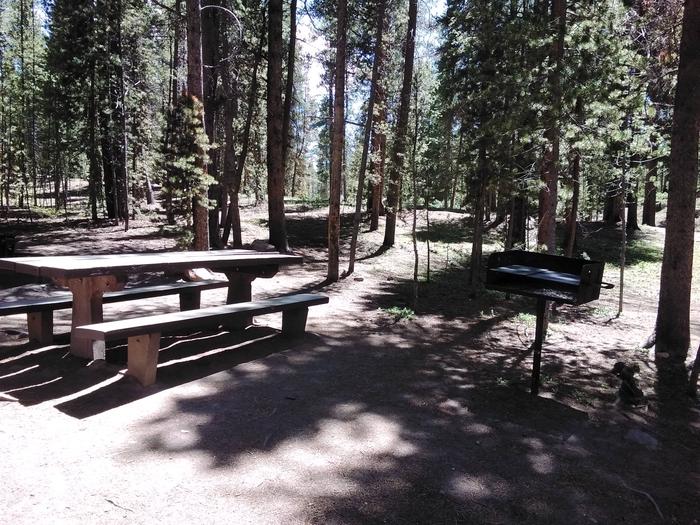 Silver Dollar Campground, site 14 picnic table and fire ring