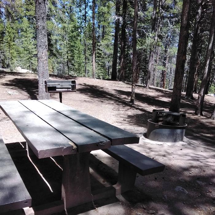 Silver Dollar Campground, site 38 picnic table and fire ring