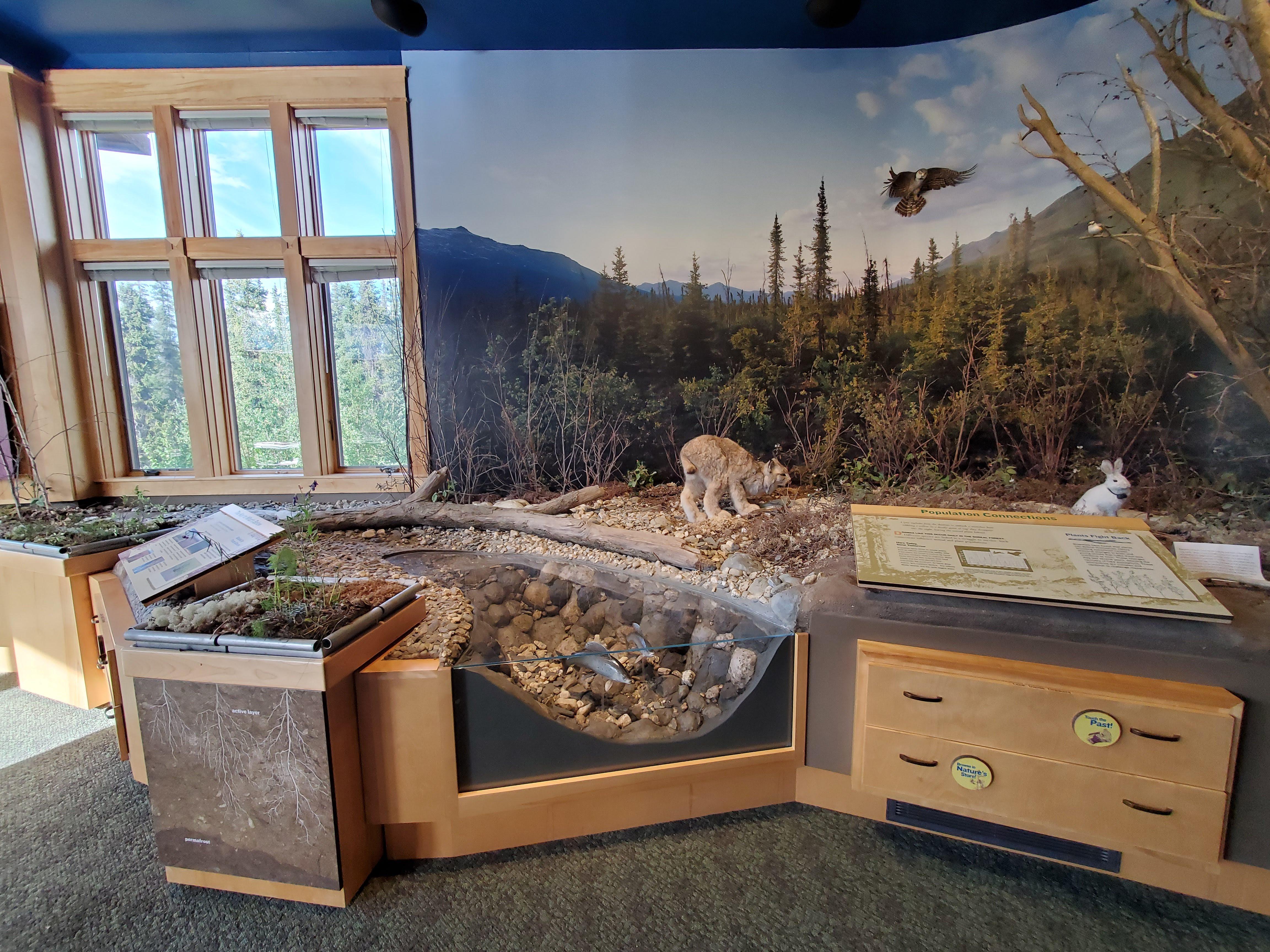 Wildlife and Ecosystem Exhibit at Arctic Interagency Visitor Center