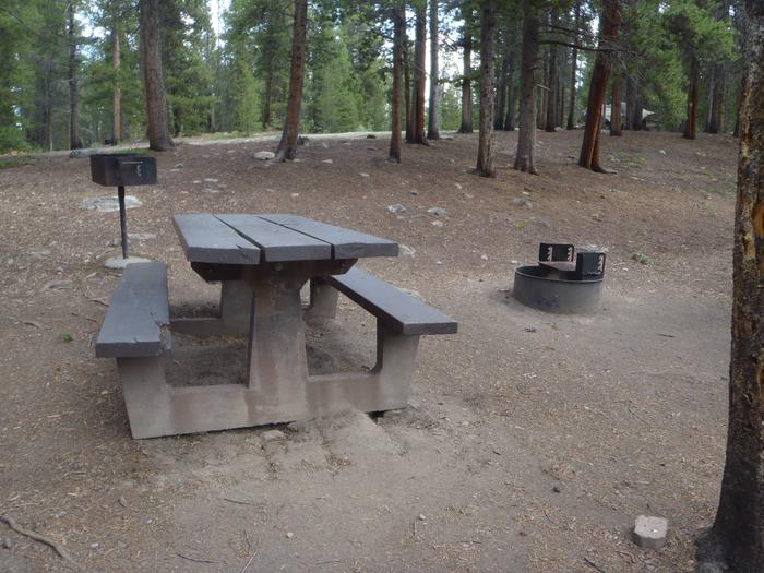 Silver Dollar Campground, site 2 picnic table and fire ring