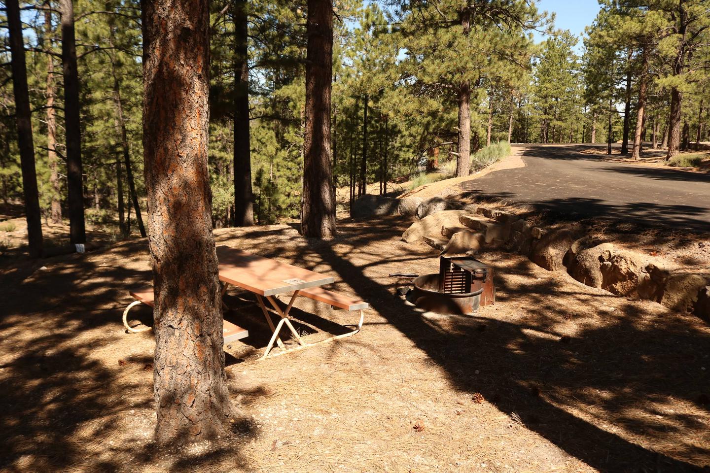 North Campground Site 41Site 41