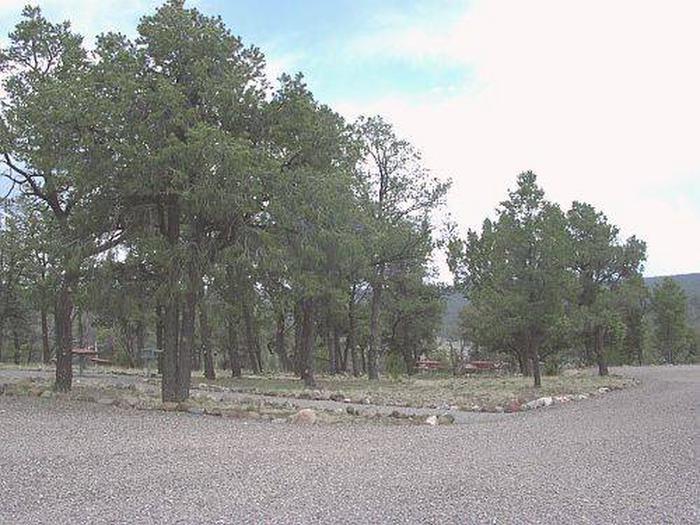 Showing Pinon Campground parking and tall trees