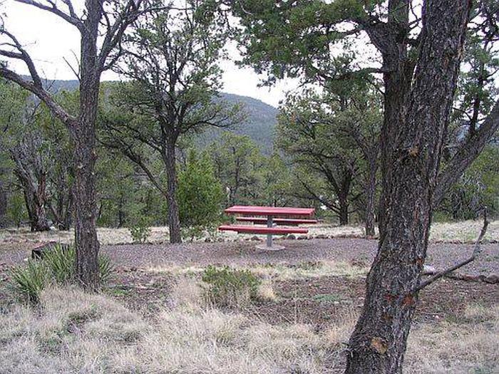 Pinon Campground sample picnic table