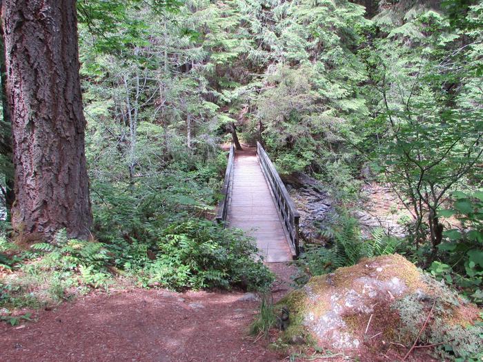 Bridge to Brice Creek TrailExplore nearby hiking trails like the Brice Creek Trail