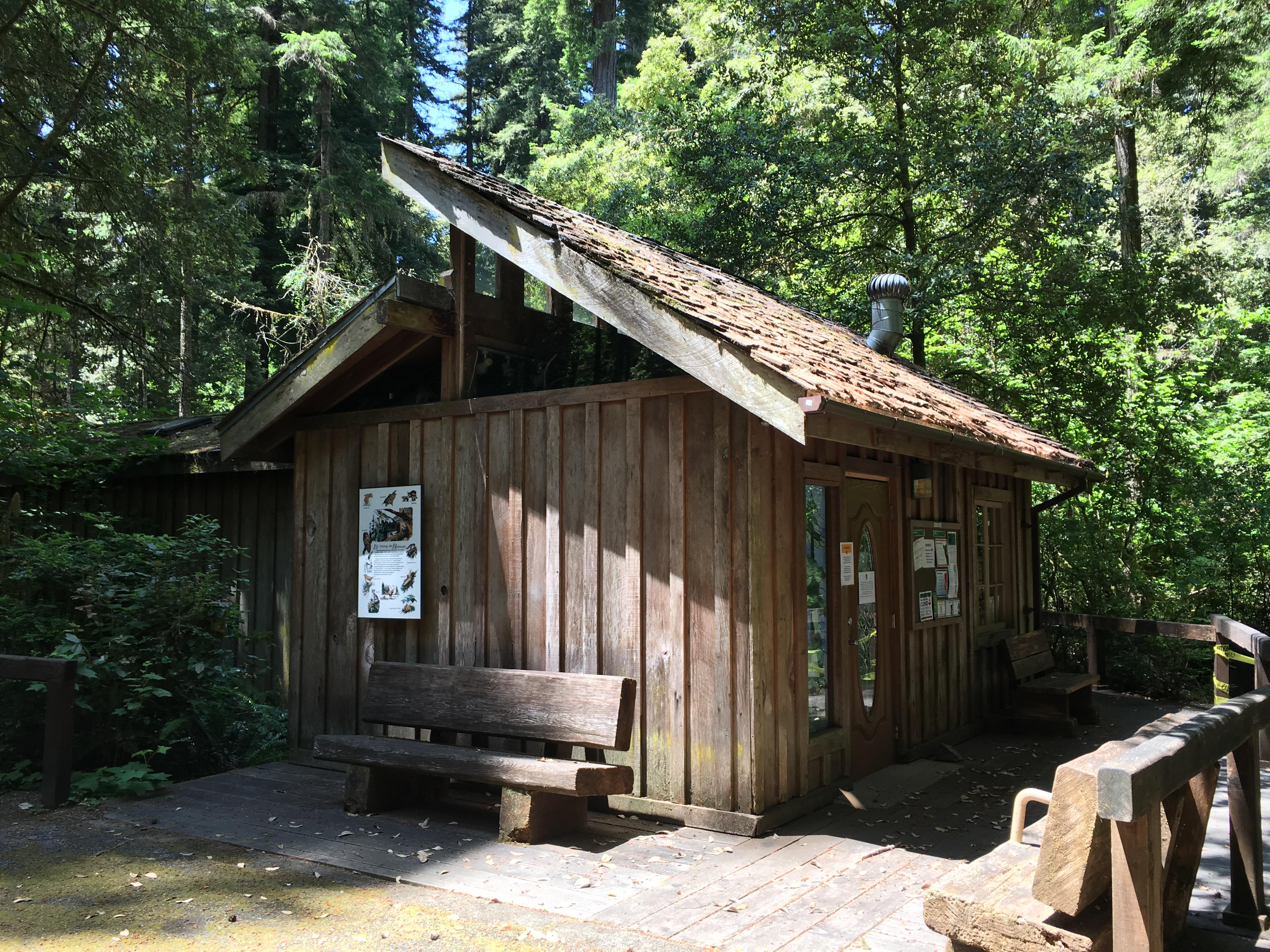 Jedediah Smith Campground