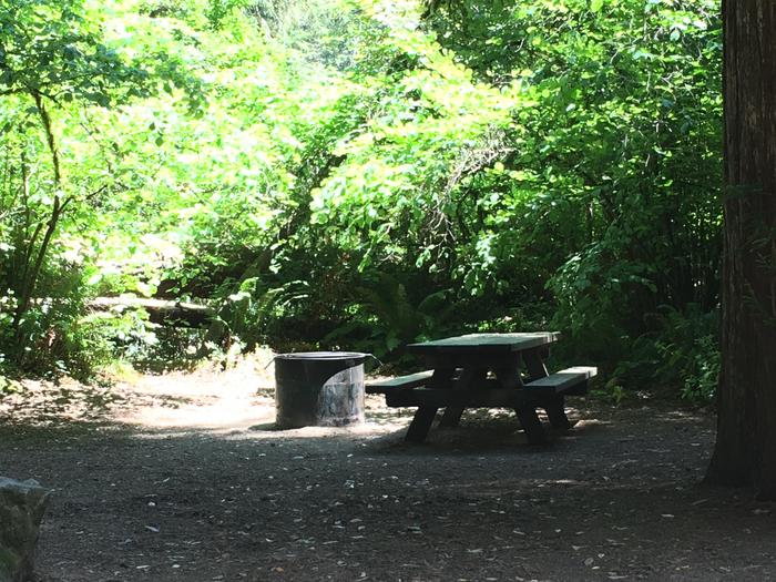 Campground site