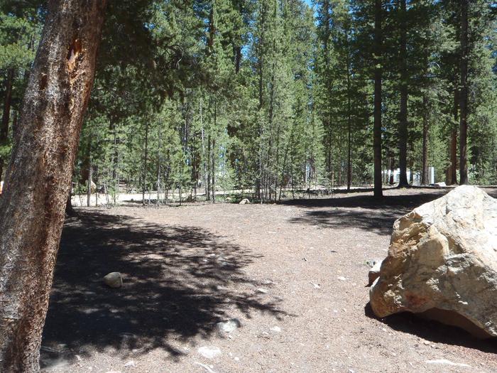 Molly Brown Campground, site 22 clearing