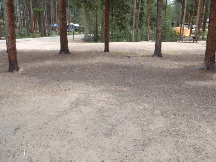 Molly Brown Campground, site 28 clearing 3