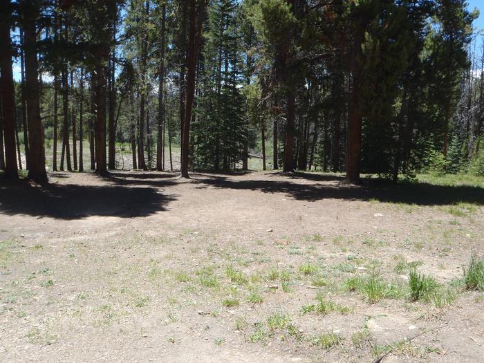 Molly Brown Campground, site 36 clearing