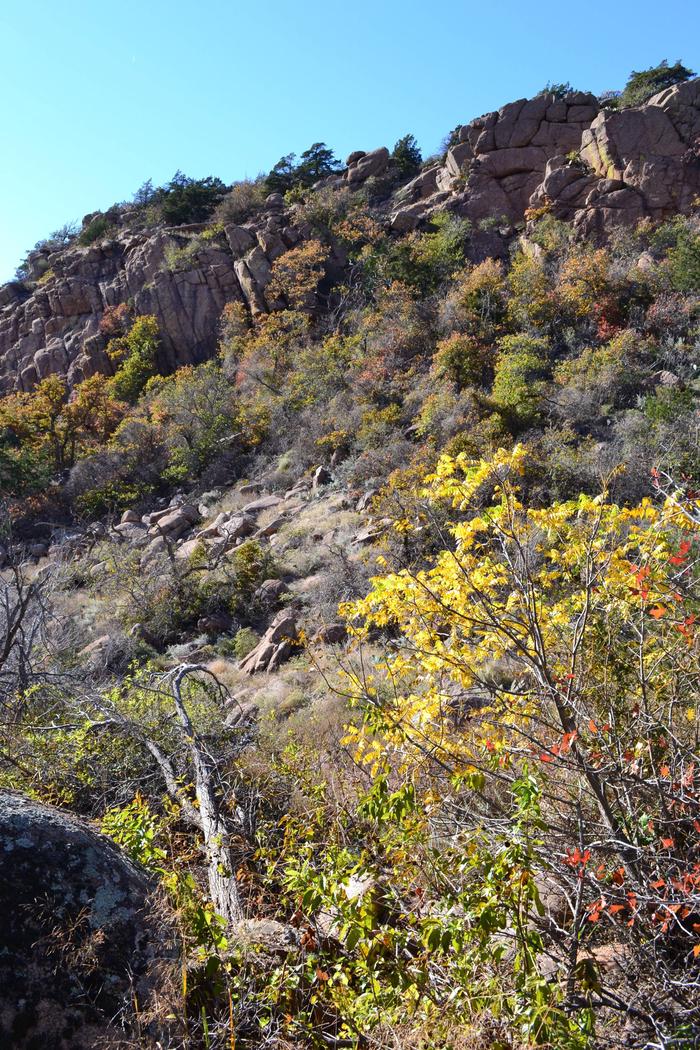 Fall colors line a rocky hillside.