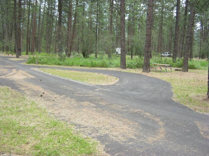 Site 5, Pine Forest in BackgroundBack view of Site 5, Pull through paved parking